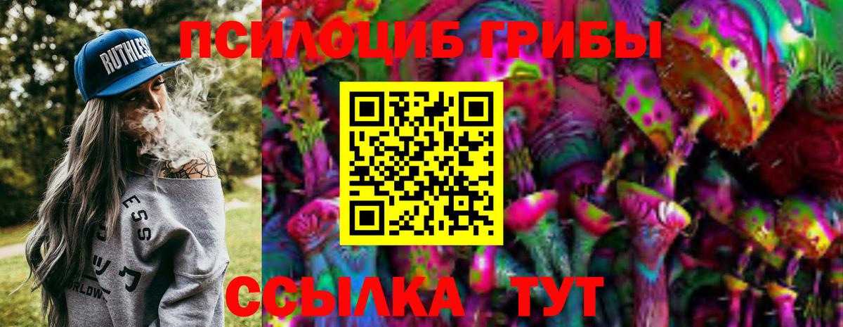 Галлюциногенные грибы Psilocybe Великий Новгород